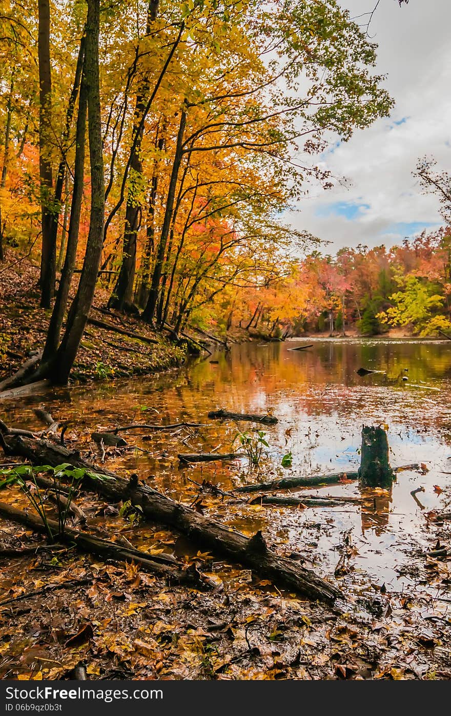 Autumn season at a lake wylie north carolina