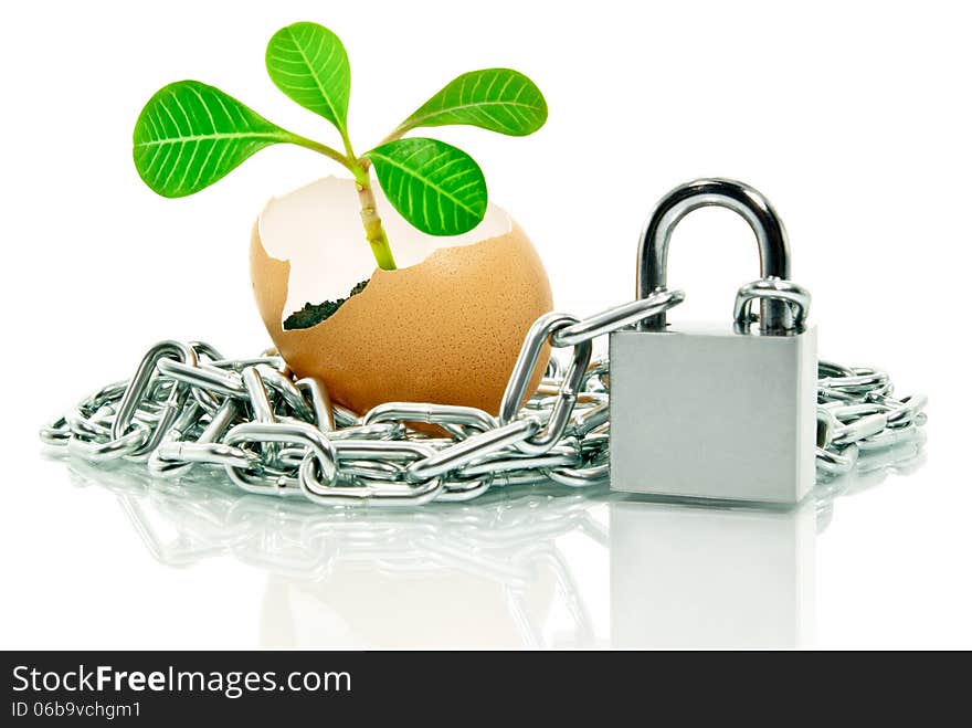 The Plant In The Egg Shell Apart,wound Chain And Padlock