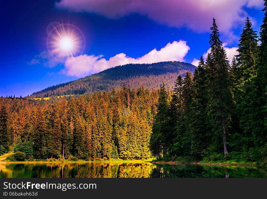 Pine forest and lake near the mountain