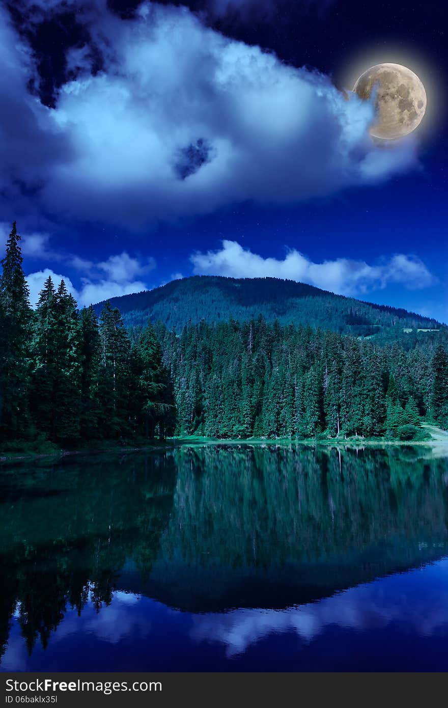 Morning In Forest Near Lake In Mountains