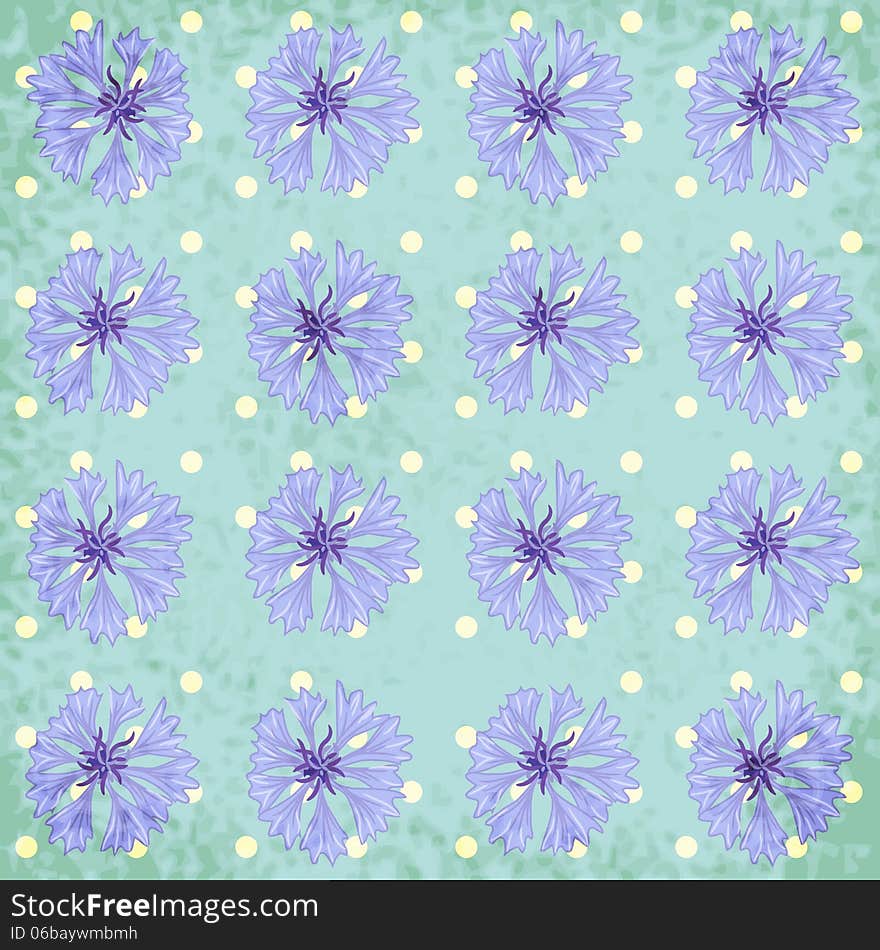 Seamless pattern with cornflower, eps10. Seamless pattern with cornflower, eps10