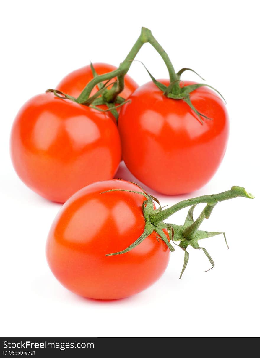 Ripe Tomatoes