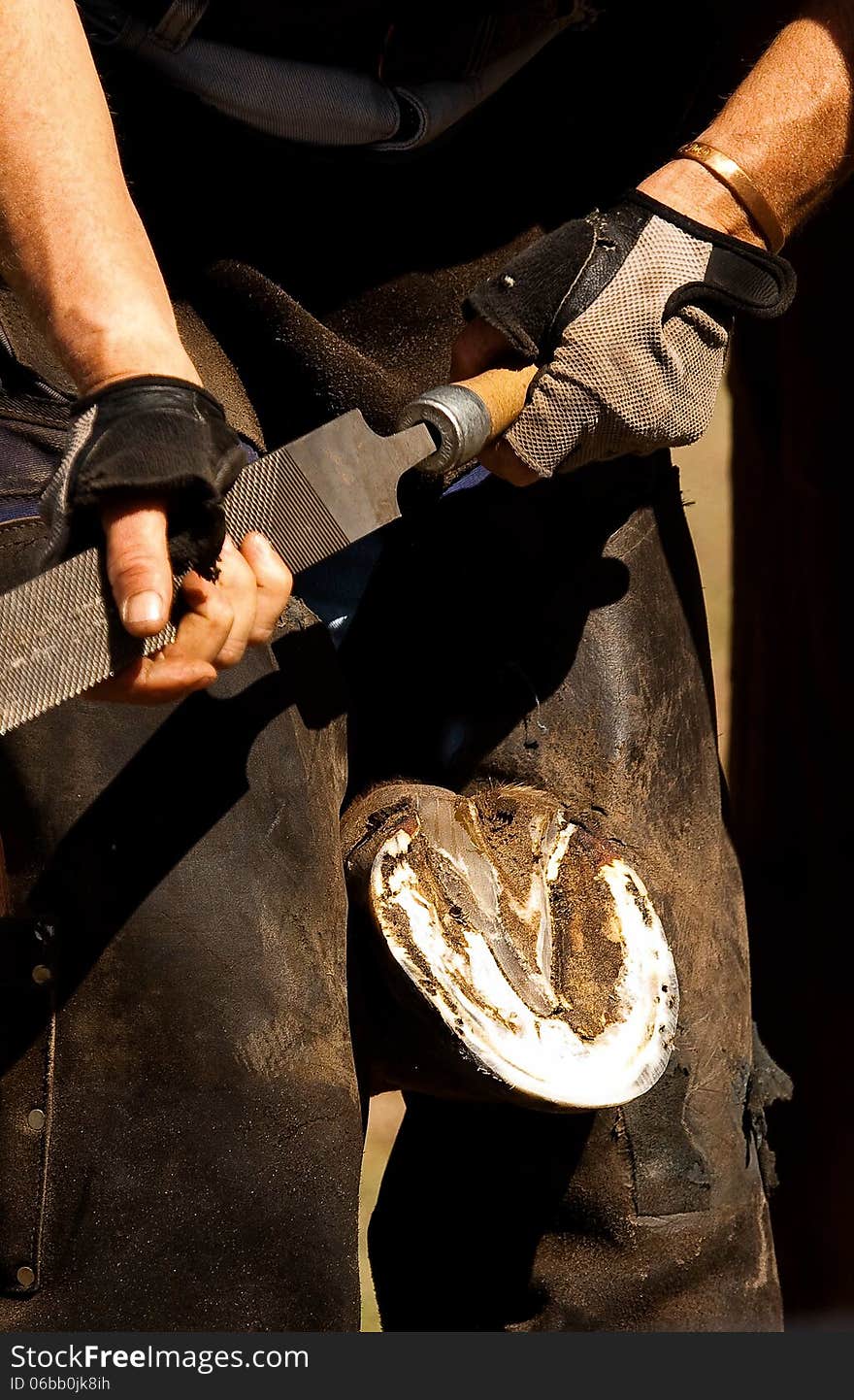 A farrier files a horse's hoof on an equestrian farm in South Africa. A farrier files a horse's hoof on an equestrian farm in South Africa.