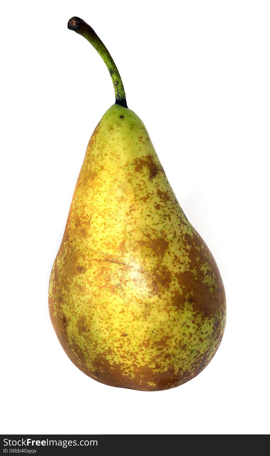 Ripe sweet pear