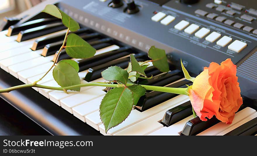 Rose lying on a synthesizer. Rose lying on a synthesizer