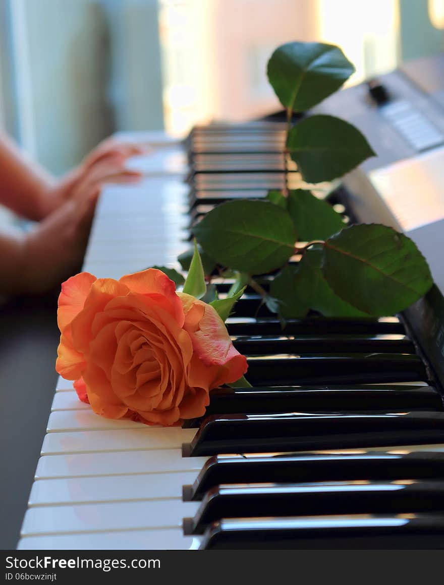 Rose lying on the keys synthesizer. Rose lying on the keys synthesizer