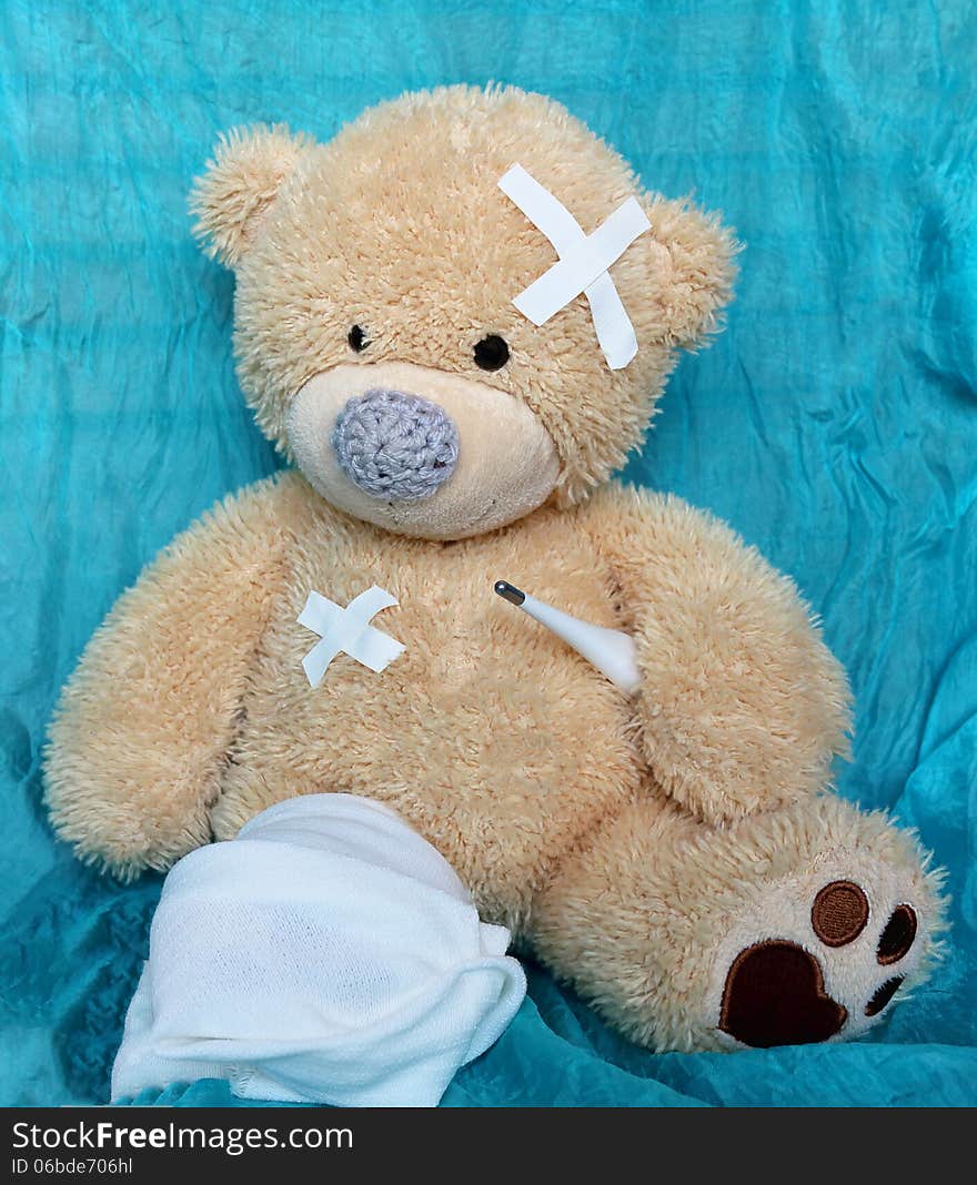 The injured bear