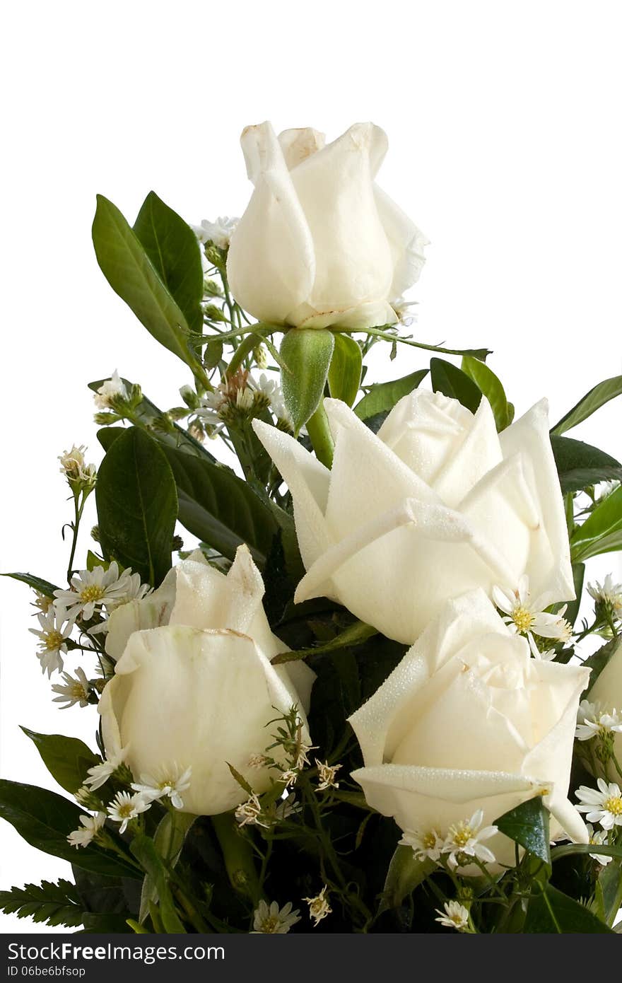 Bouquet of ivory roses