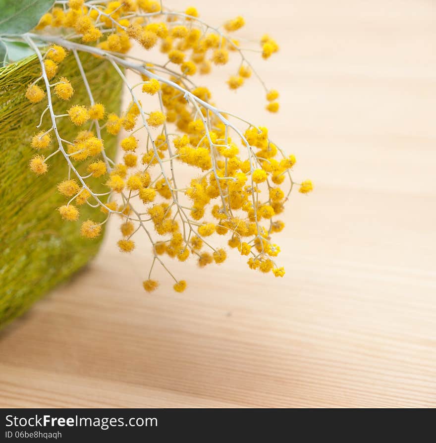 Closeup of mimosa flowers on wooden background. Closeup of mimosa flowers on wooden background