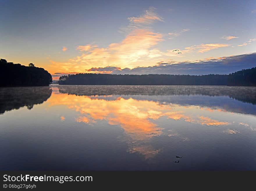 Geese take flight over calm water at sunrise. Geese take flight over calm water at sunrise