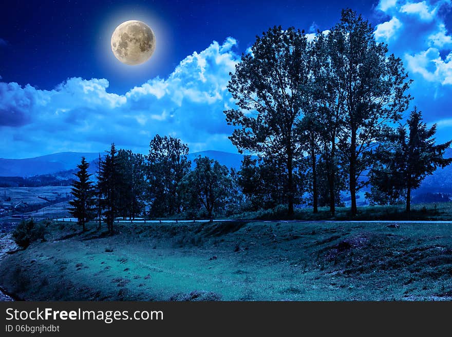 Mountain road near the coniferous forest with cloudy morning sky