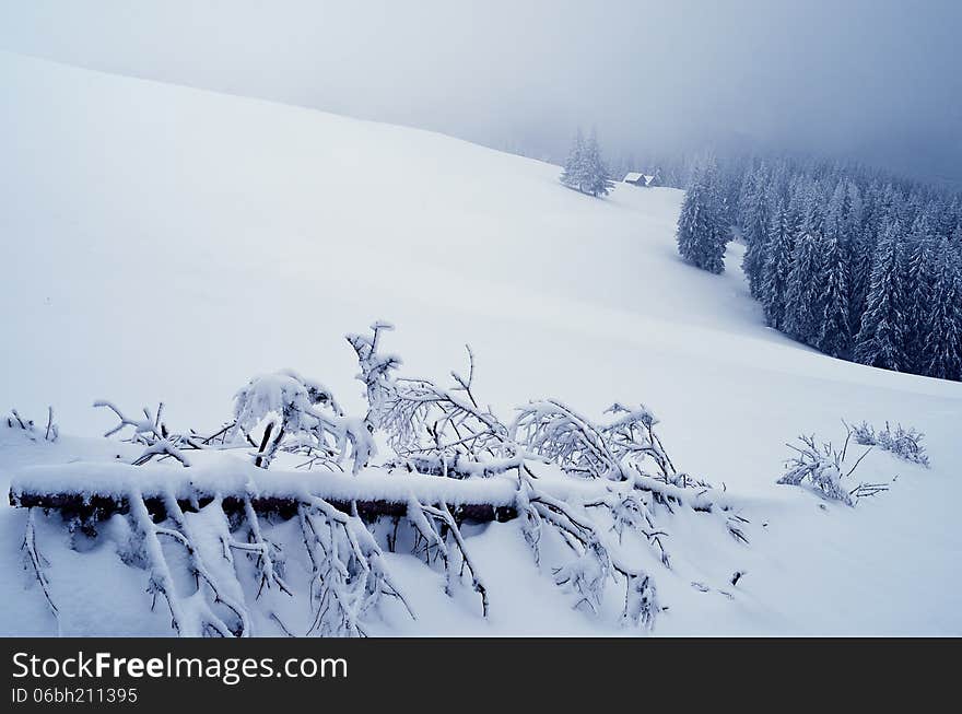 Cloudy landscape foggy day. Winter in the mountain valley. Carpathians, Ukraine, Europe. Cloudy landscape foggy day. Winter in the mountain valley. Carpathians, Ukraine, Europe