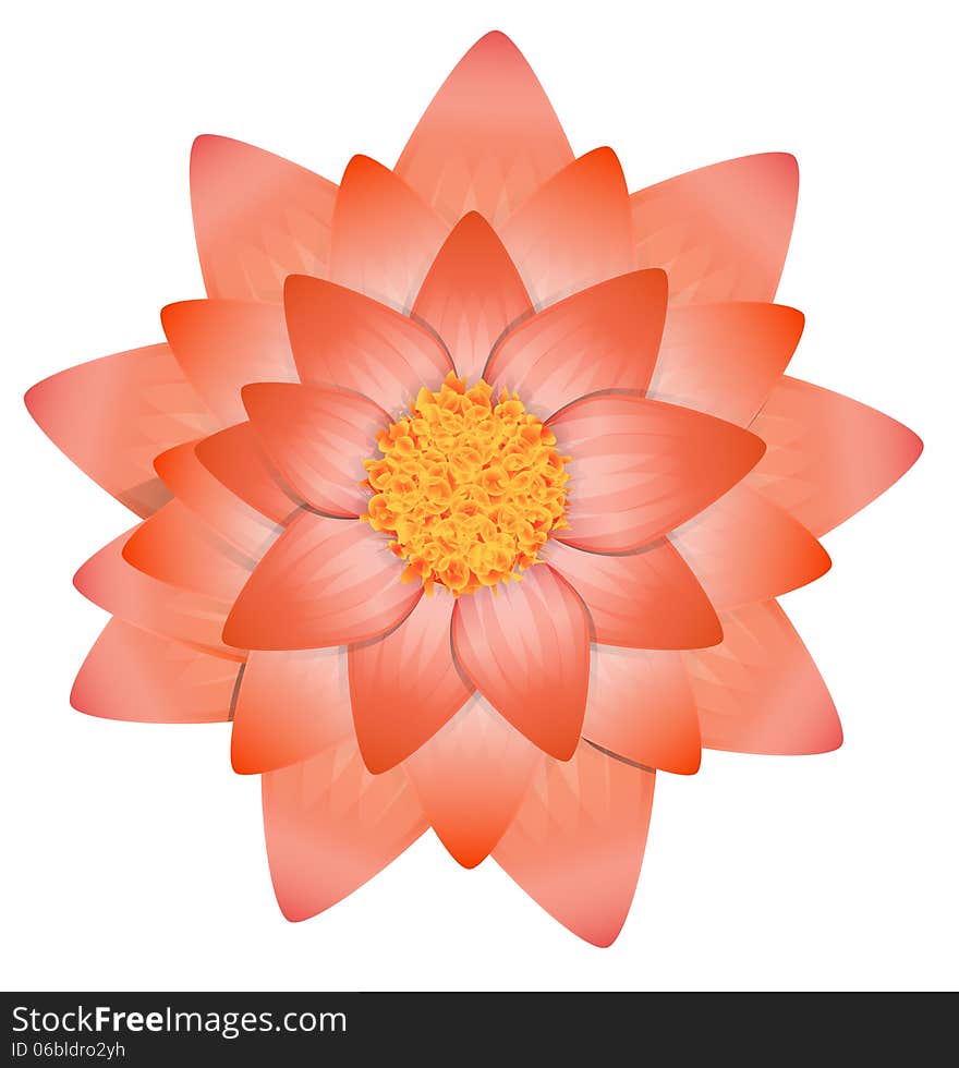 Flower abstract vector illustration isolated eps 10