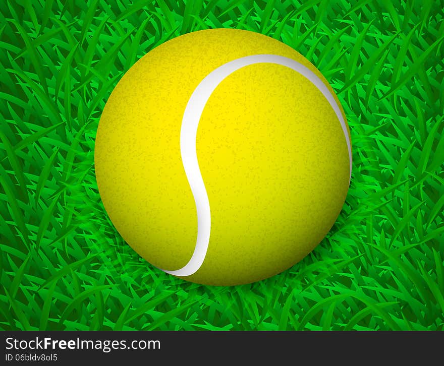 Tennis ball