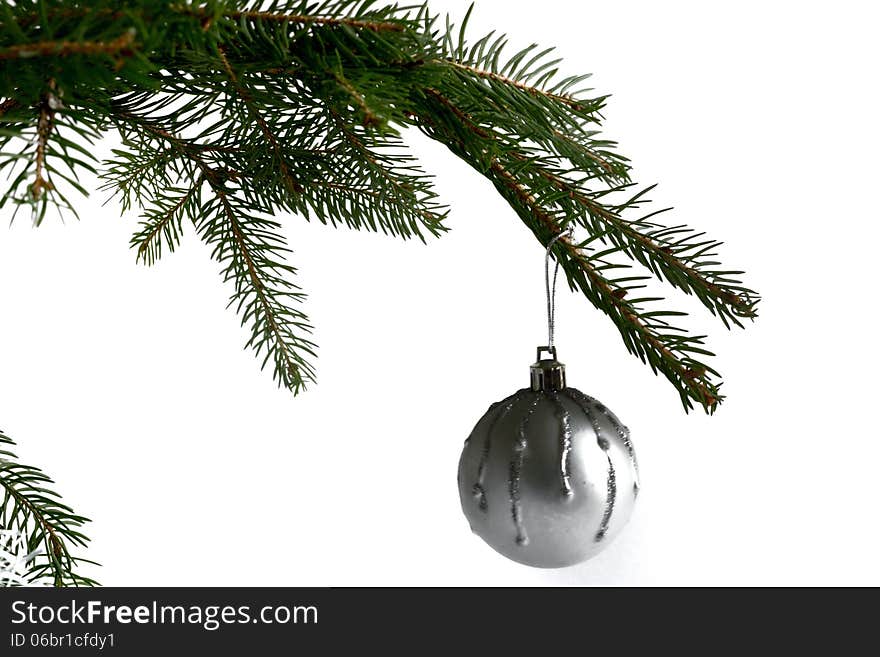 Fir Branch Isolated On White Background