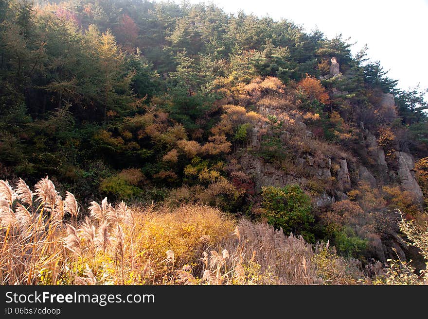 Laoshan mountains beautiful autumn scenery of Chin