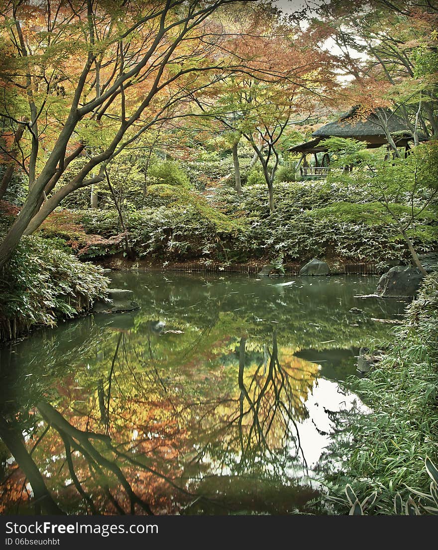 Taken at Komagome,Japan , Autumn photo shoot. Taken at Komagome,Japan , Autumn photo shoot