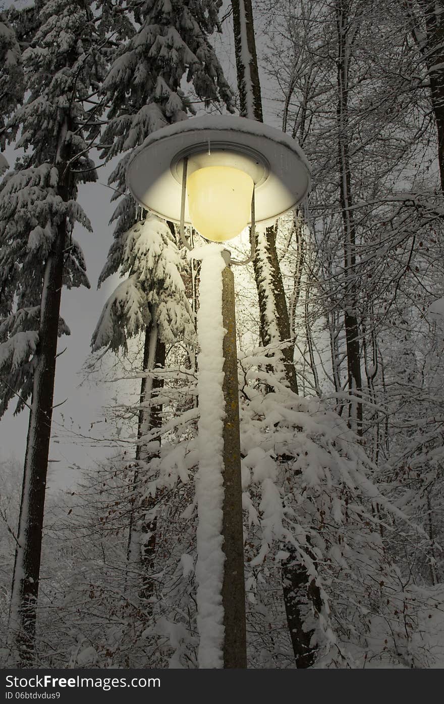 Light Street lamp in a forest during a snowy day. Light Street lamp in a forest during a snowy day