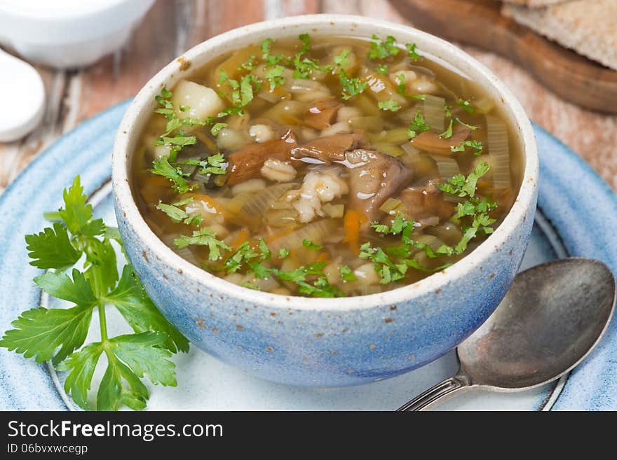 Mushroom soup with pearl barley, top view