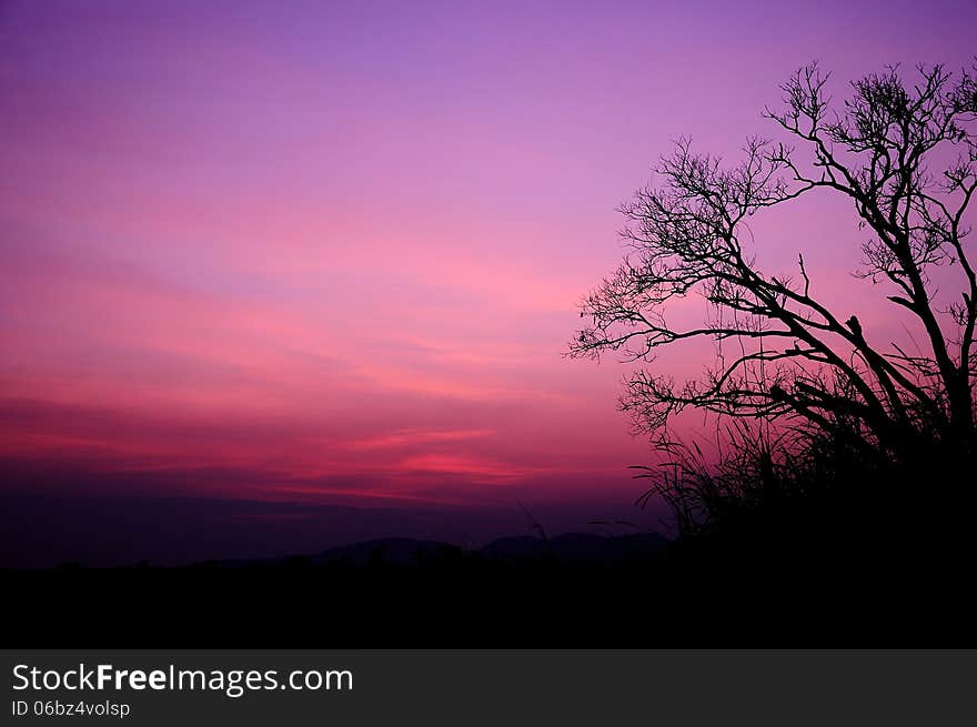 Colors Of The Sky.