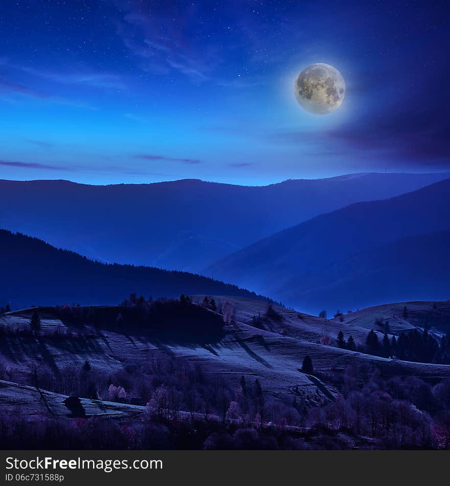 Coniferous forest on a steep mountain slope at night. Coniferous forest on a steep mountain slope at night