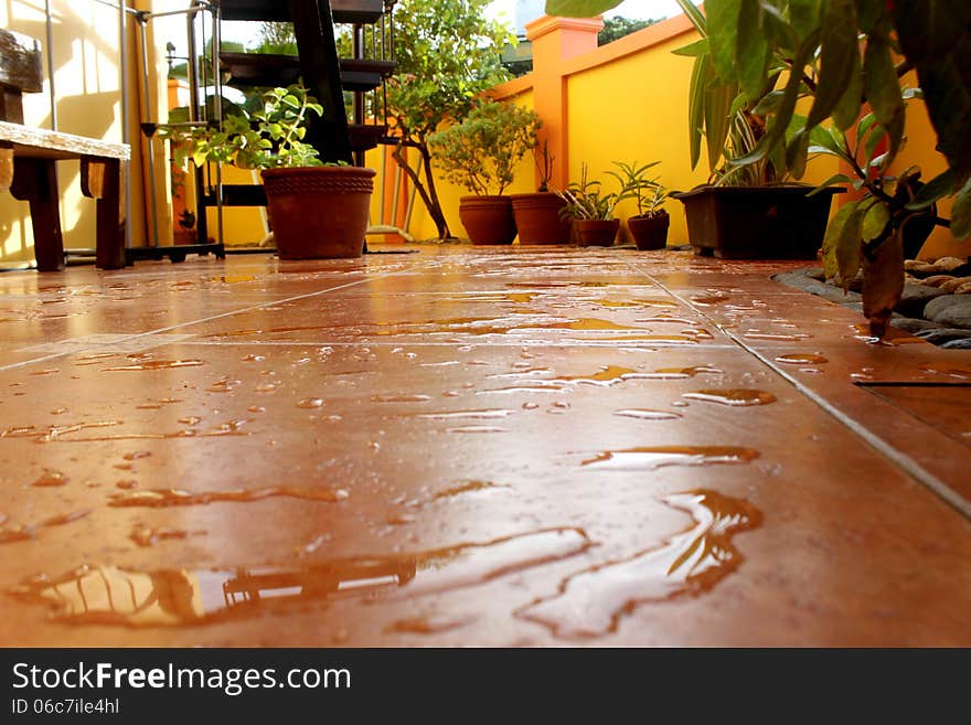 Wet Tiled Patio