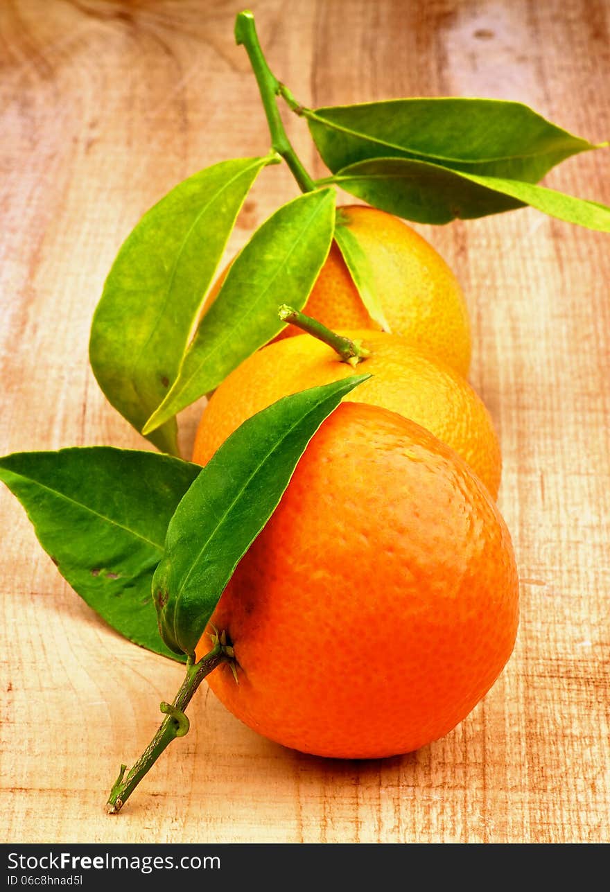 Three Fresh Ripe Tangerines with Stems and Leafs In a Row on Rustic Wooden background