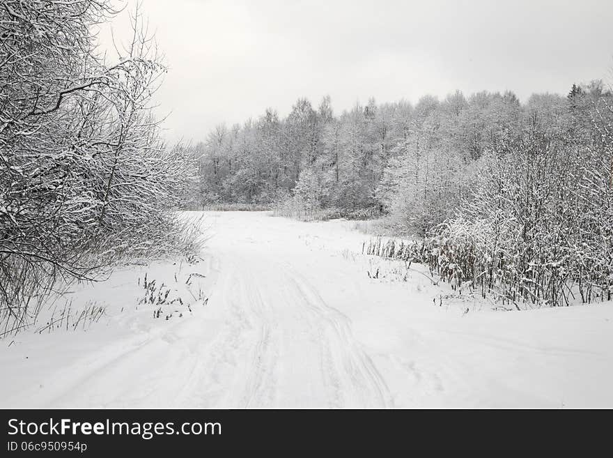 A path between trees covered with snow. A path between trees covered with snow