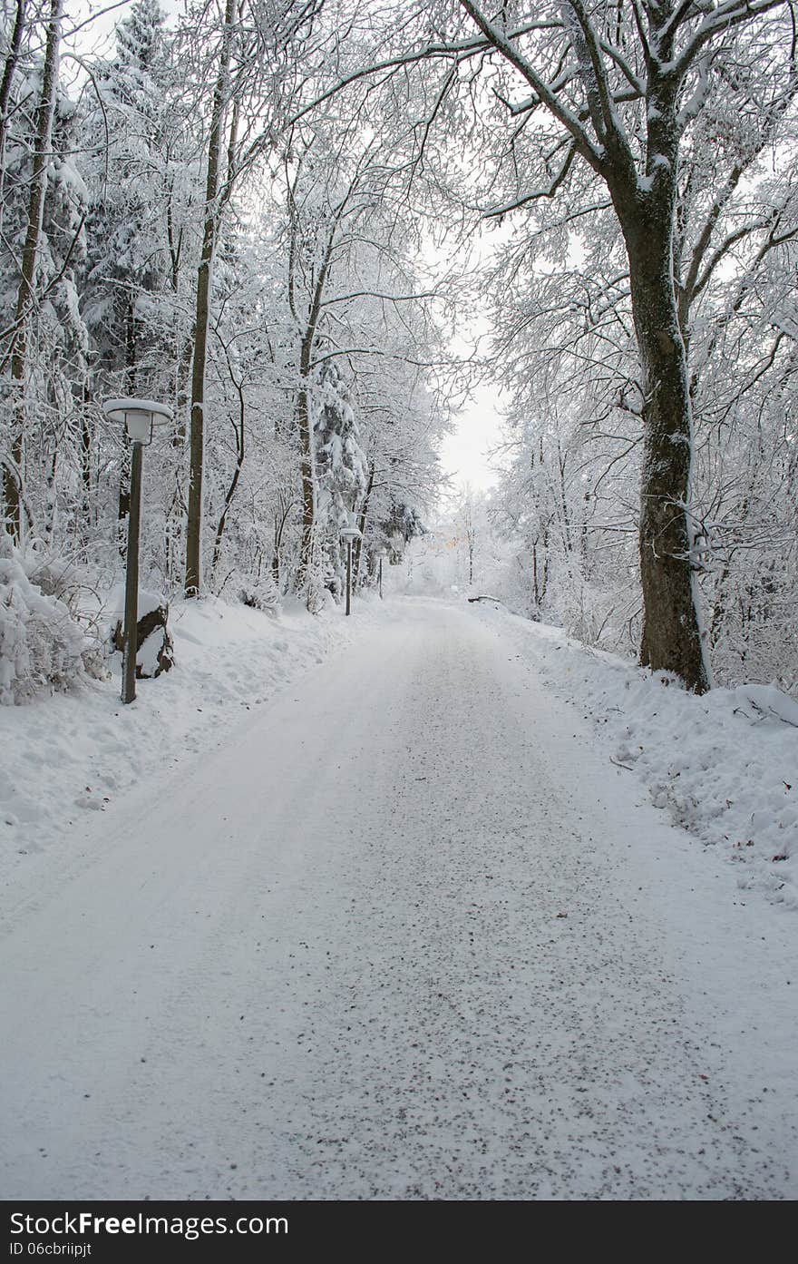 Park lane covered by snow