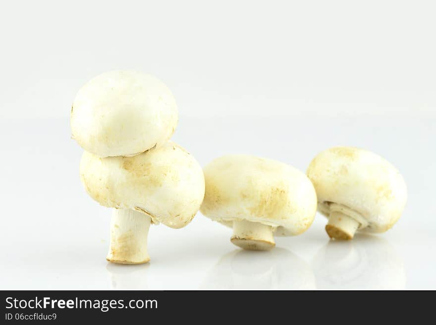 Mushrooms