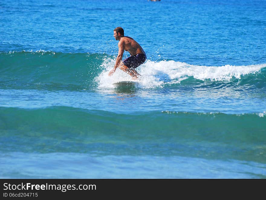 A smallish wave...a crazish smile On a longboard there is a different approach to surfing...romantic may i say it. Its a slower tango vigorous still. The legendary duck dive...needs devotion to expertise. The ducks are our role models!. A smallish wave...a crazish smile On a longboard there is a different approach to surfing...romantic may i say it. Its a slower tango vigorous still. The legendary duck dive...needs devotion to expertise. The ducks are our role models!