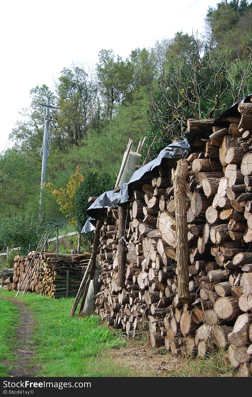 In the middle of nowhere an old fellow had his wood piled. In the middle of nowhere an old fellow had his wood piled.