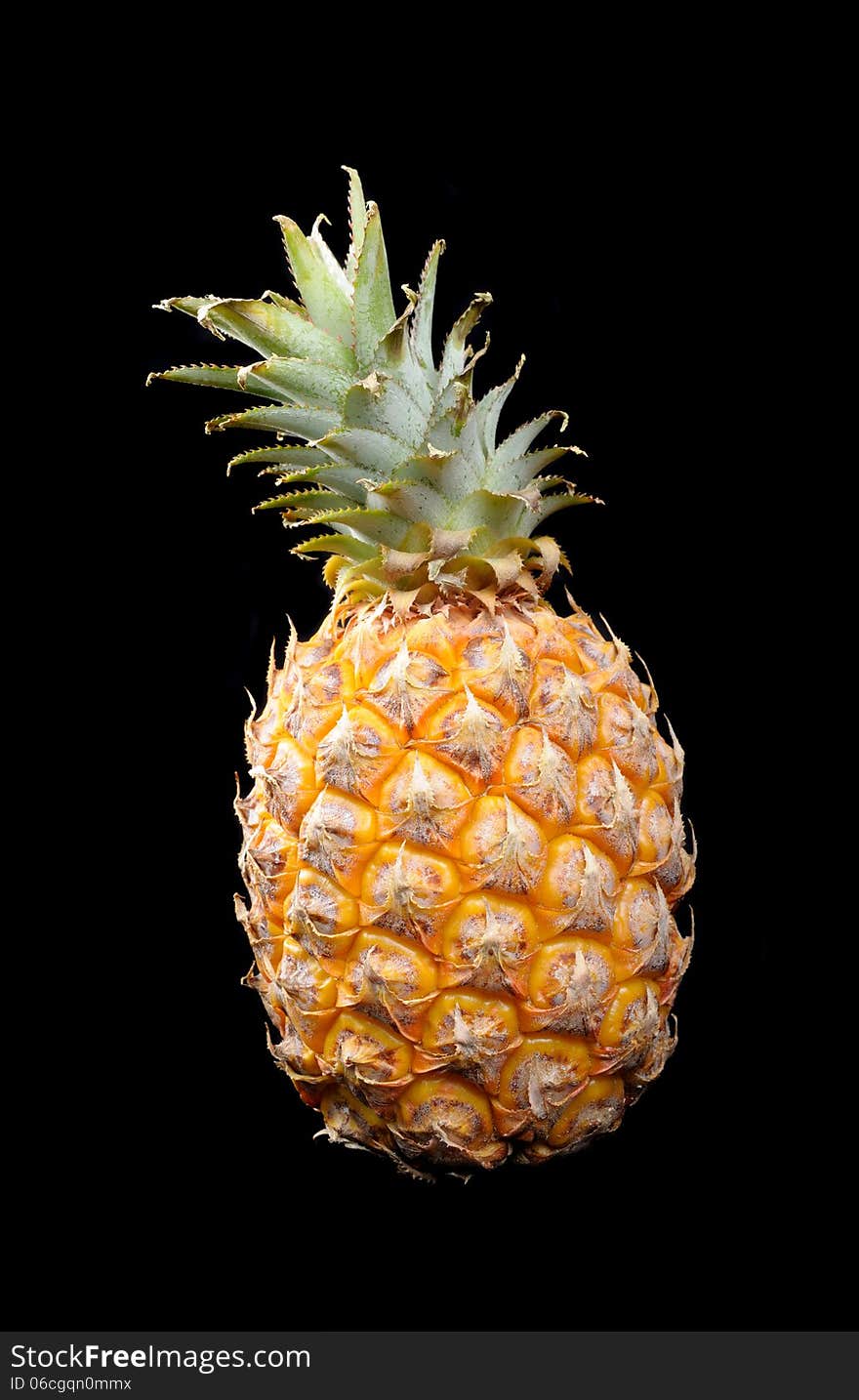 Pineapple