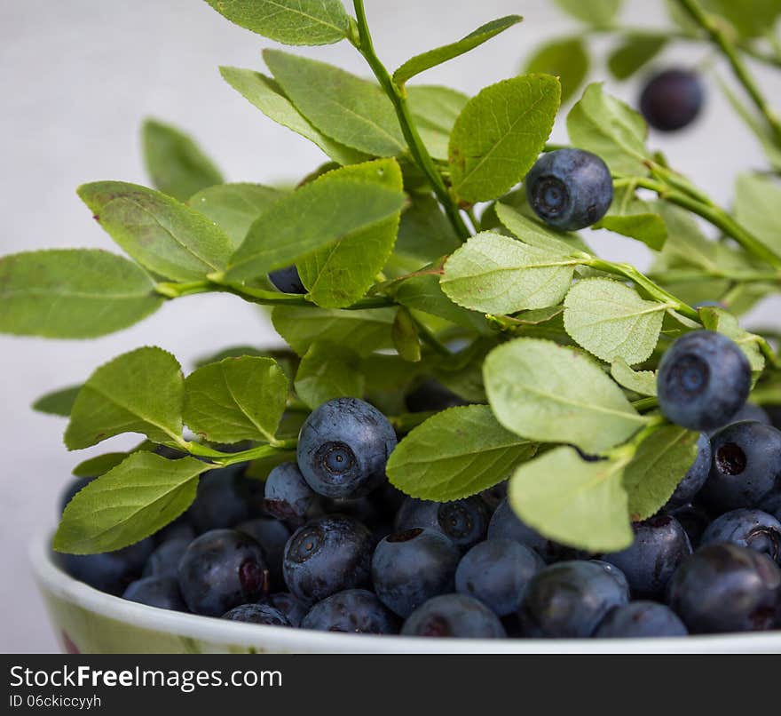 Fresh bluberries with green leaves in a bowl