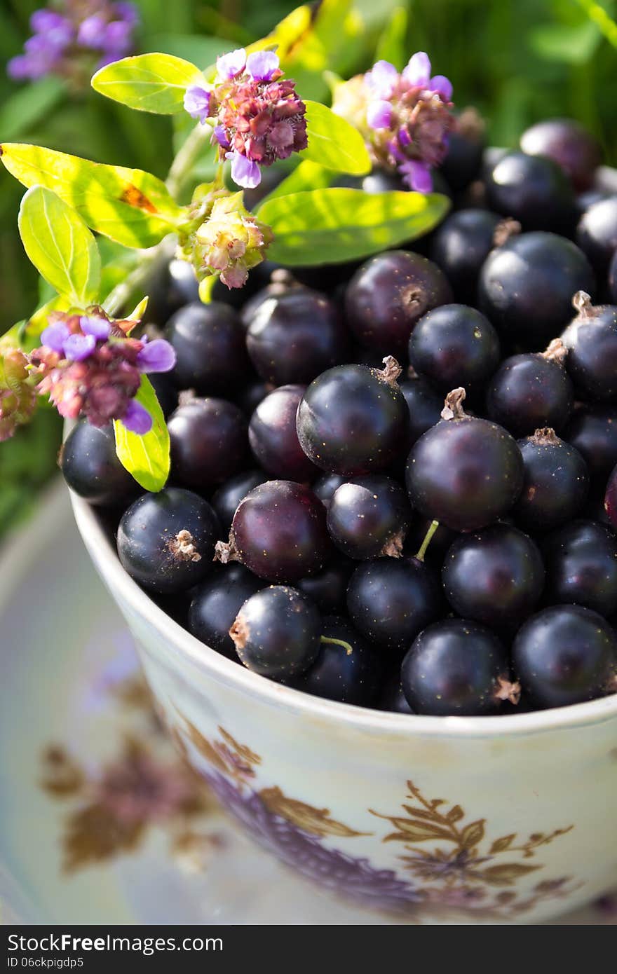 Blackcurrant in a cup