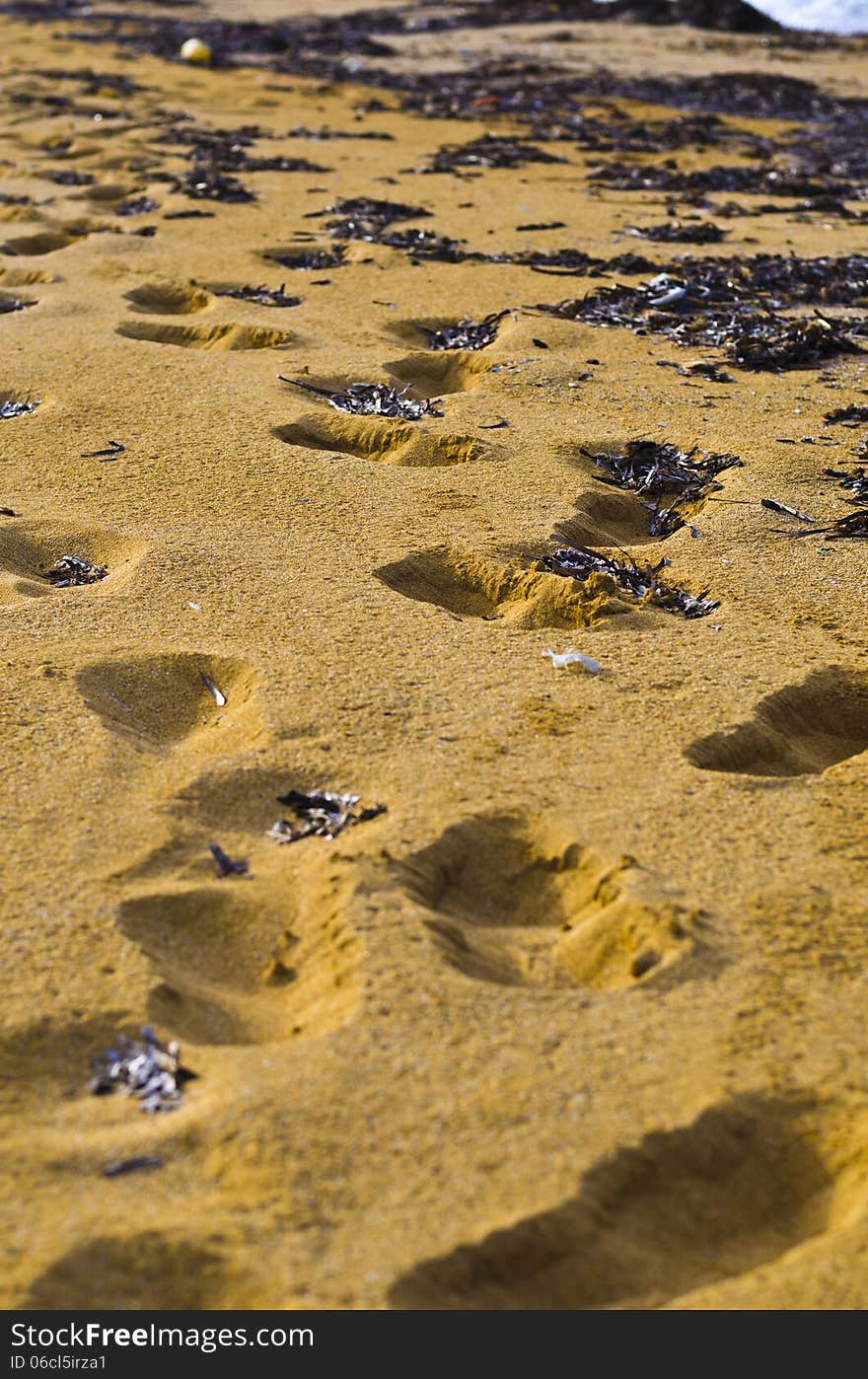 Footsteps in the sand, sandy beach Malta