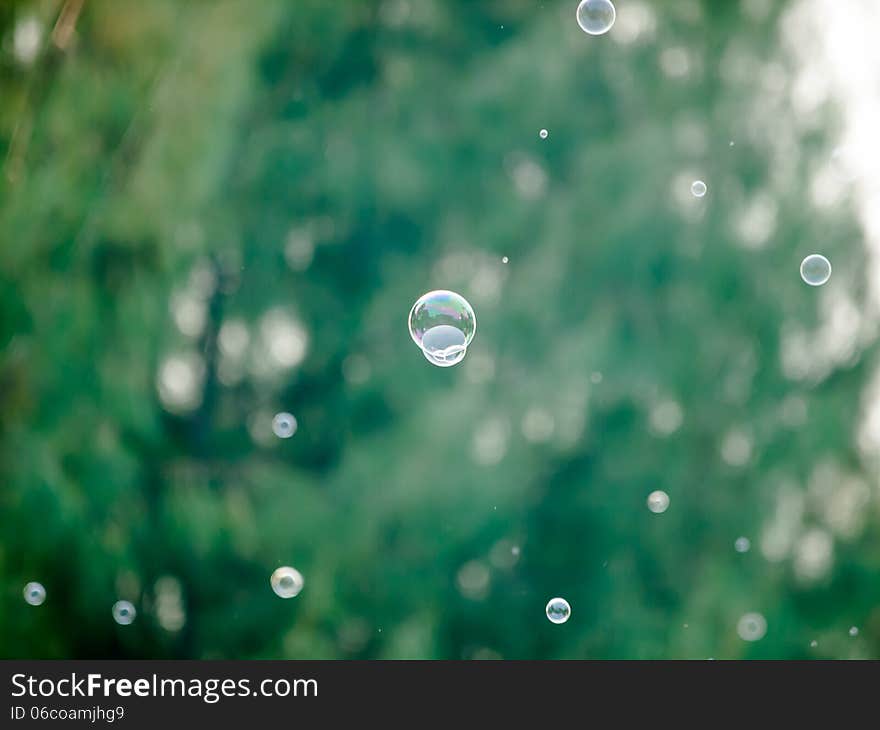 Soap bubbles in air on green natural background