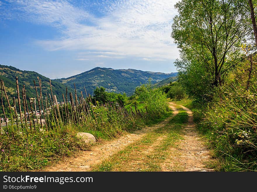 Mountain road near the forest with cloudy sky