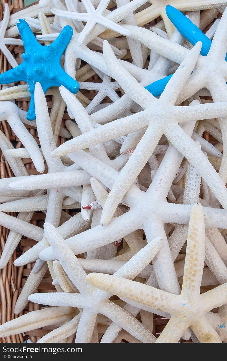 Pile of white dry starfishes