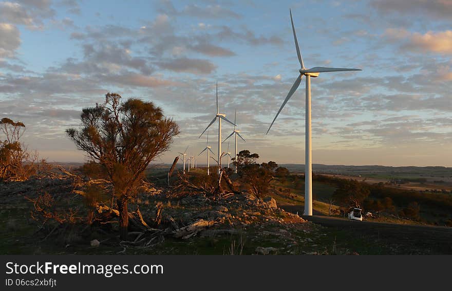 Wind farm in south australia