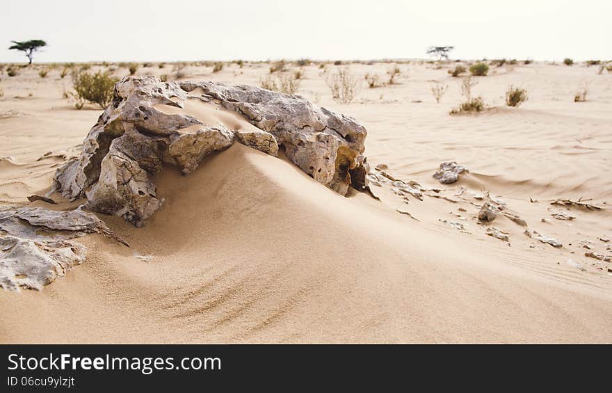 Rocks and desert