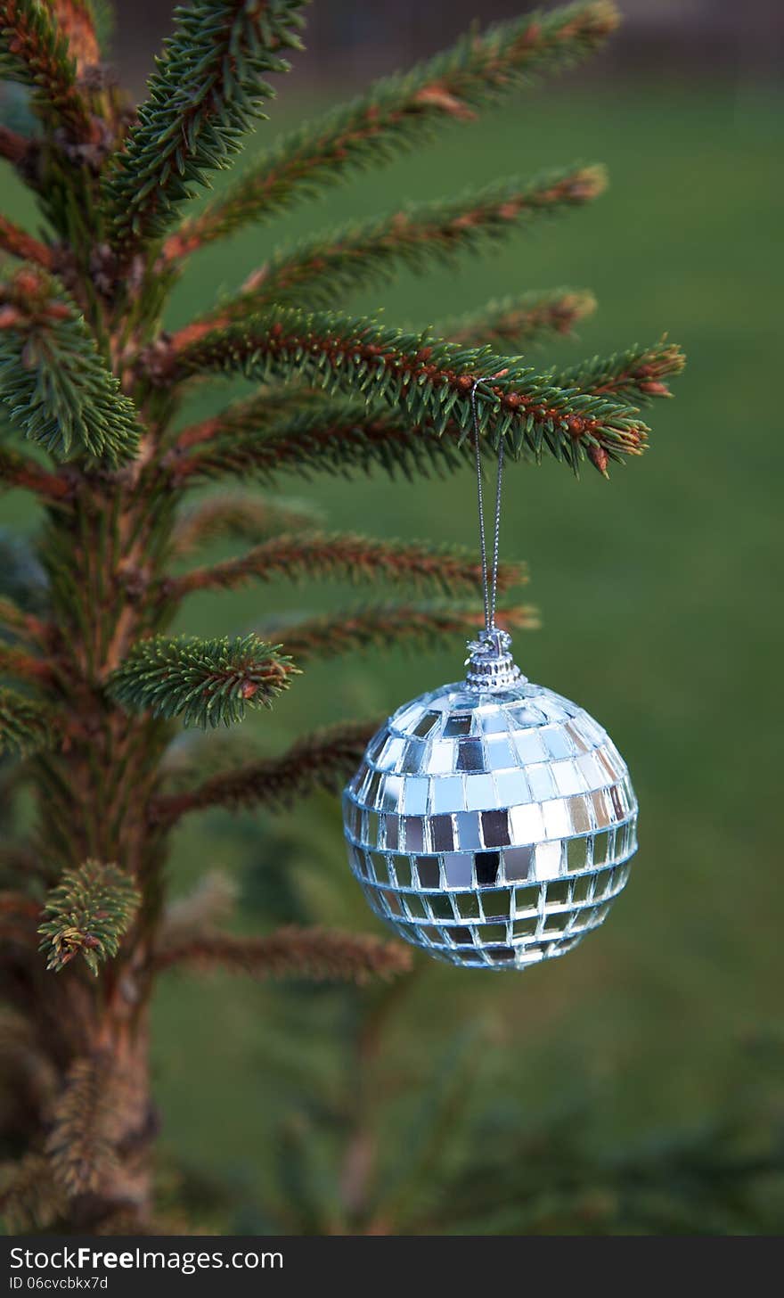 Mirror ball hanging on a Christmas tree branch outside