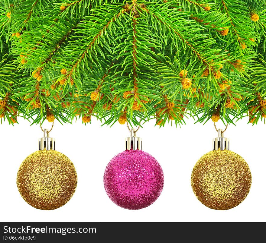 Branches of Christmas spruce on a  white background.