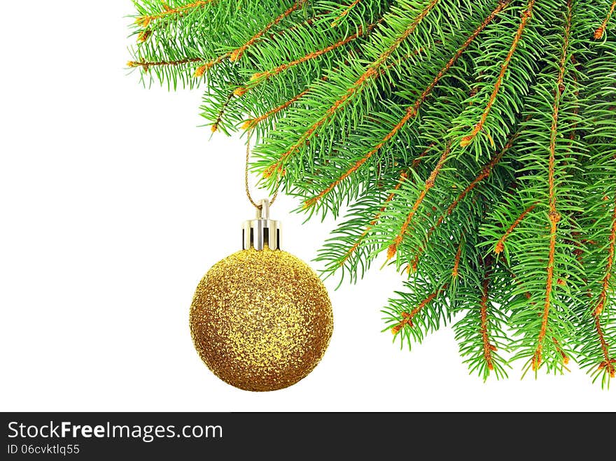 Branches of Christmas spruce on a  white background.