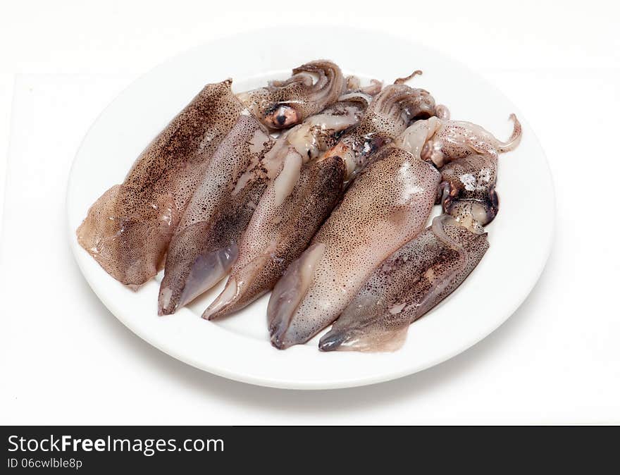 Fresh calamari on a white background