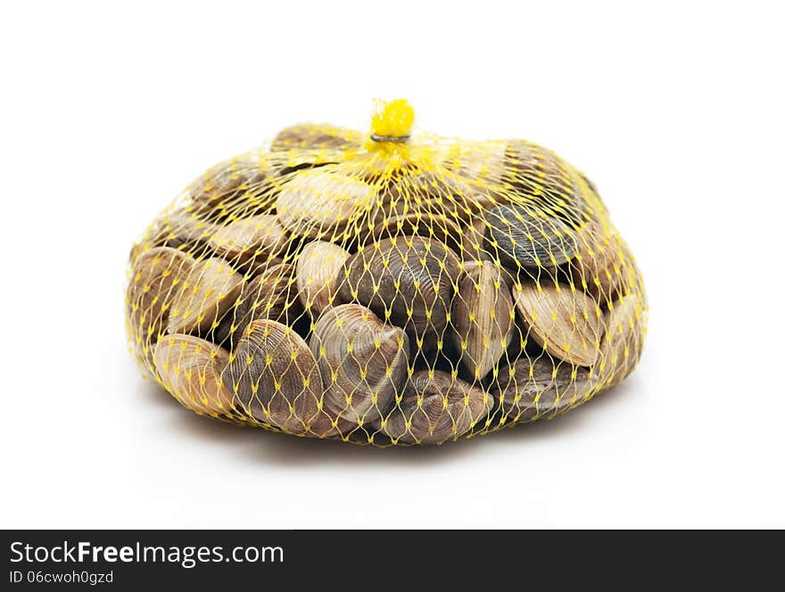 Clams isolated on a white background in the grid