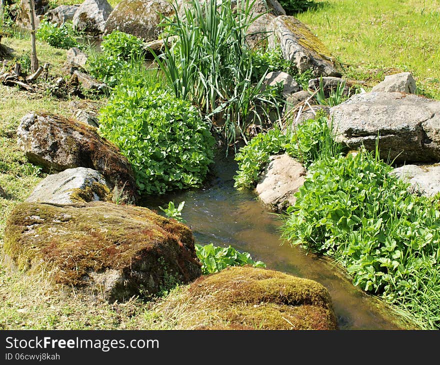 Still life in the creek , south Bohemia . Czech Republic