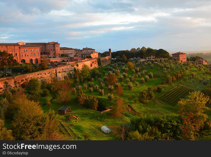 A favorable view of the Siena countryside out of my hotel window.