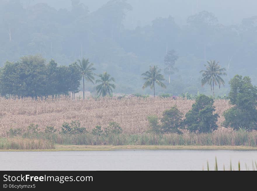 Landscape of forest and moutain along the reservoir that have the mist in the morning at Wang num keaw,Thailand. Landscape of forest and moutain along the reservoir that have the mist in the morning at Wang num keaw,Thailand