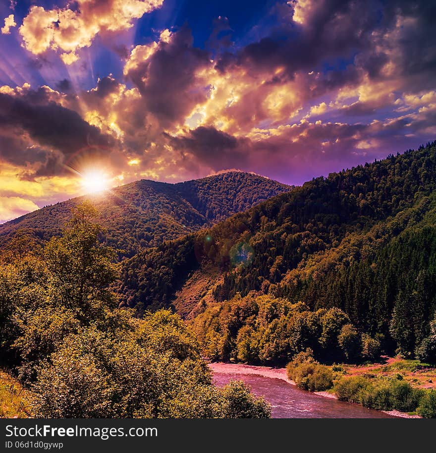 Mountain river near forest